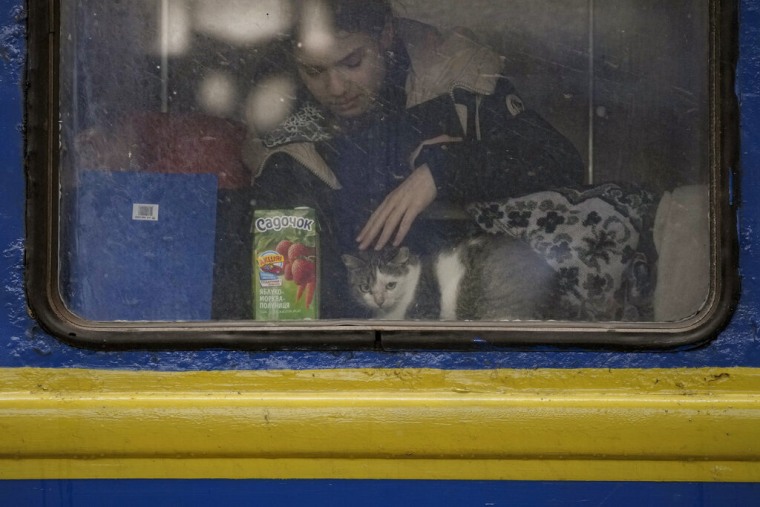 Una niña acaricia a un gato antes de que salga su tren con destino a Lviv, en Kiev, Ucrania, el jueves 3 de marzo de 2022.