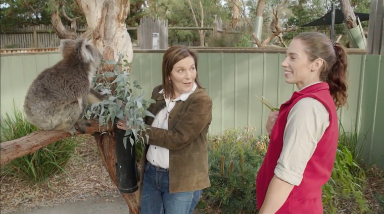 NBC's Sara James (left) speaks to Australian koala keeper Caitlin Ondracek about the animal's change in status.