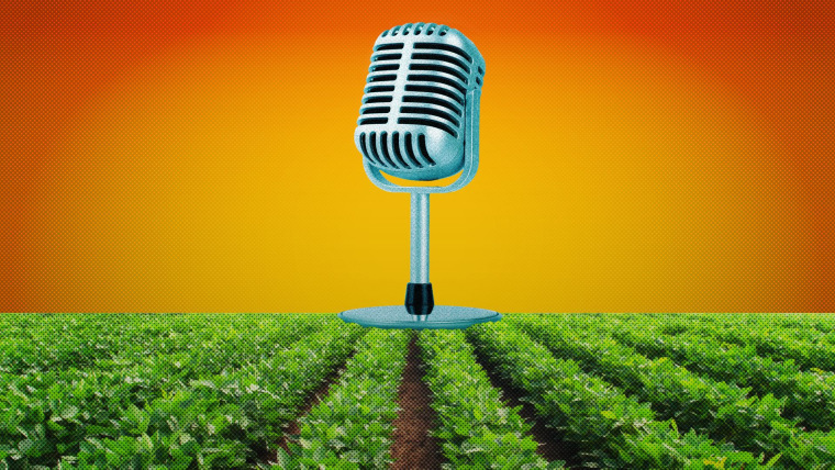 Ilustración de un micrófono de grabación de podcasts ante un atardecer y puesto encima de un campo agrícola