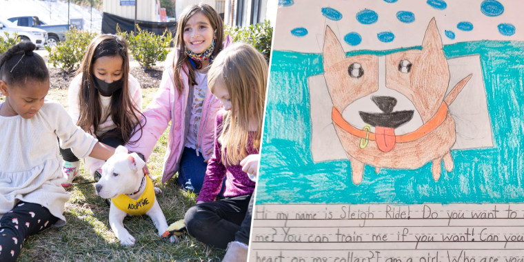 Meeting Snow helped inspire second grade students writing persuasive essays from the point of view of shelter dogs looking for forever homes.