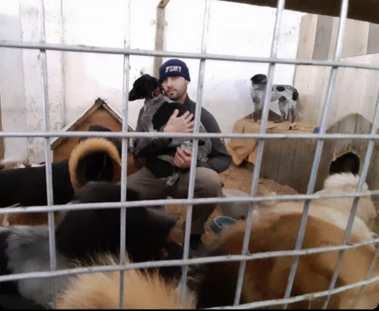 Jeff Praul, pictured at an animal shelter in Lviv, Ukraine, caring for abandoned or orphaned animals.