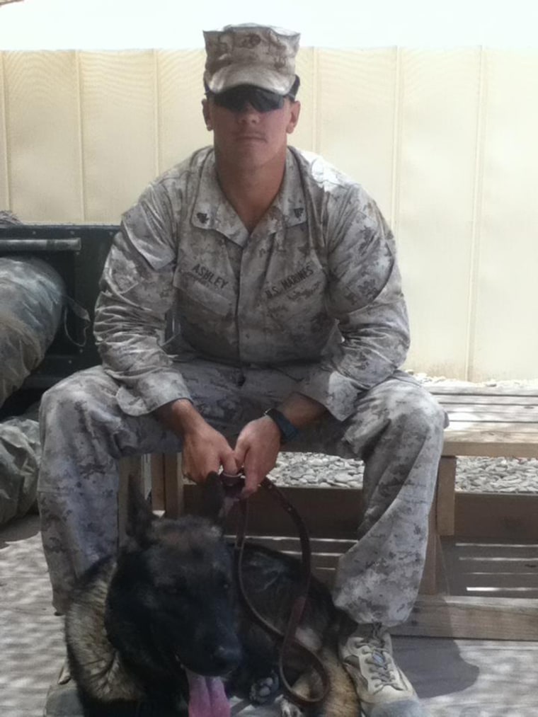 Sgt. Joshua Ashley, pictured with his military dog, Sirius, while serving in Afghanistan.  