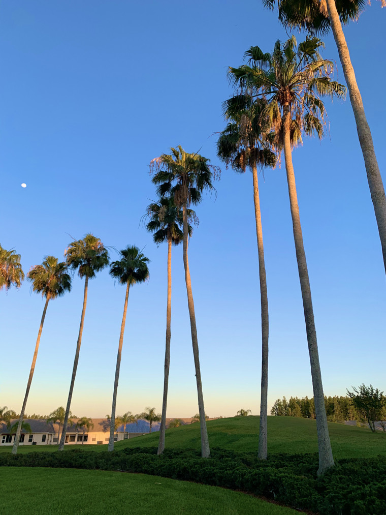 Two years have passed since Manna moved into her parents' retirement community, and while she is planning to soon return to New York City, she is savoring the remaining peaceful moments spent watching palm trees sway in the wind. 