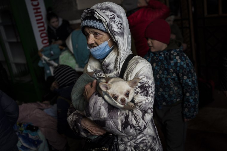 An elderly woman and her pet wait for a train