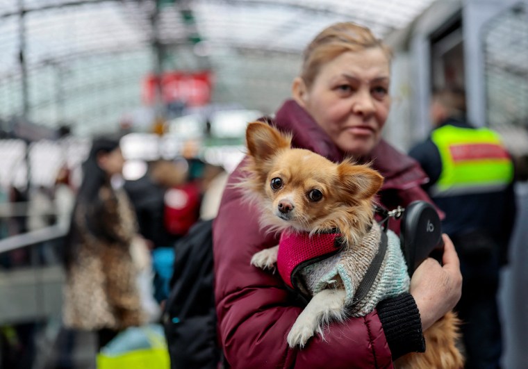 Image: Ukrainian refugees arrive in Berlin