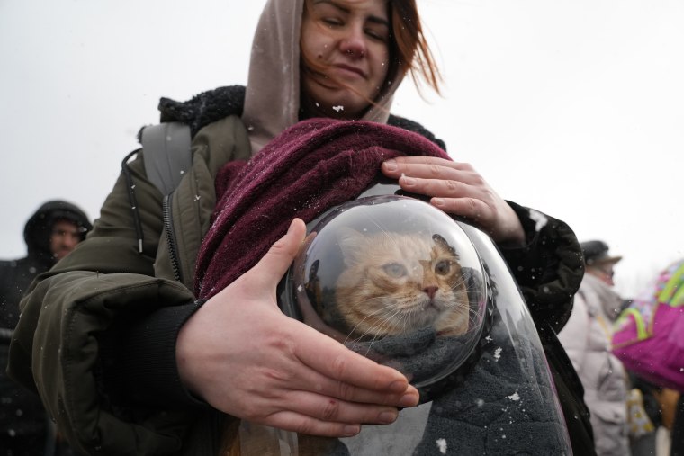 Nina, 26, holds a pet carrier with her cat
