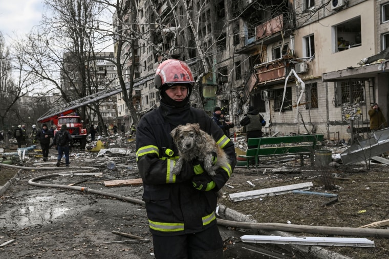 A firefighter rescues a dog