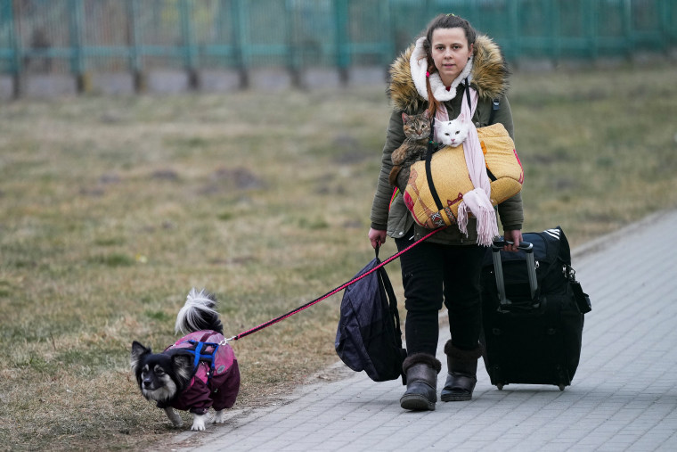 Image: People fleeing Russia's invasion of Ukraine, in Medyka