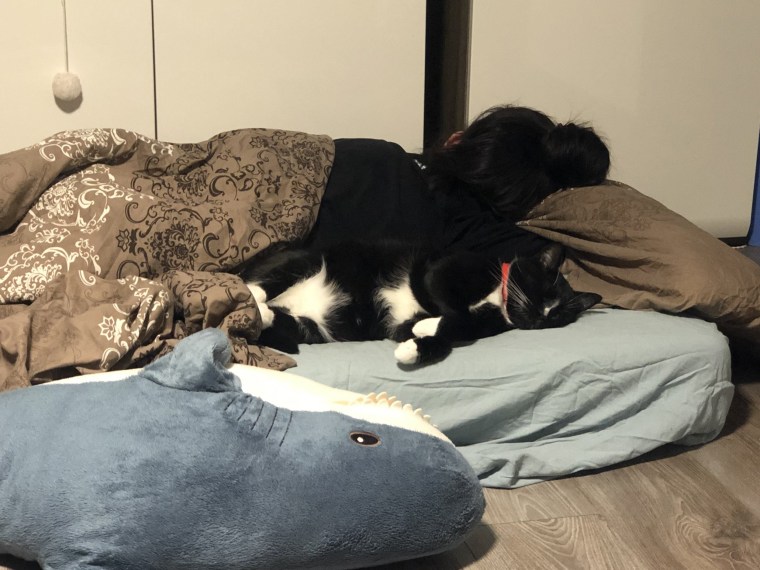Ana's sister, sleeping in her new bed in Poland — a mattress on the floor — with the family's cat.