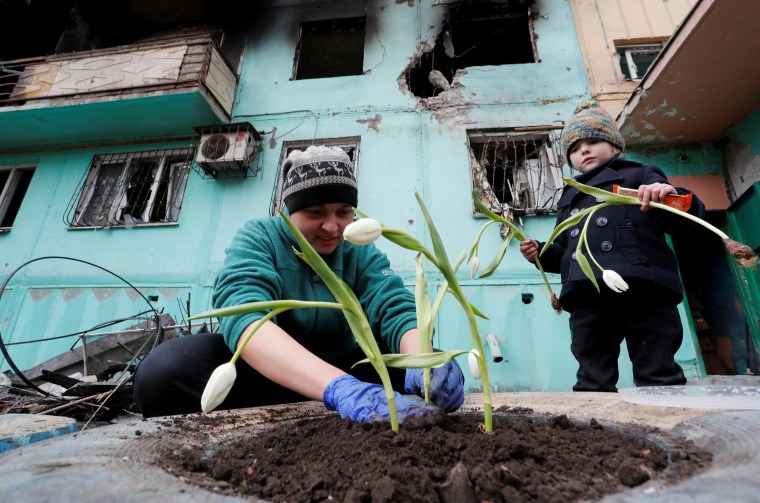 Image: A local resident plants tulips near a damaged apartment building in Mariupol