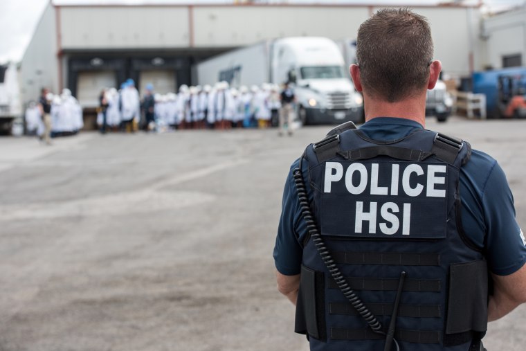 Image: Homeland Security Investigations (HSI) special agent