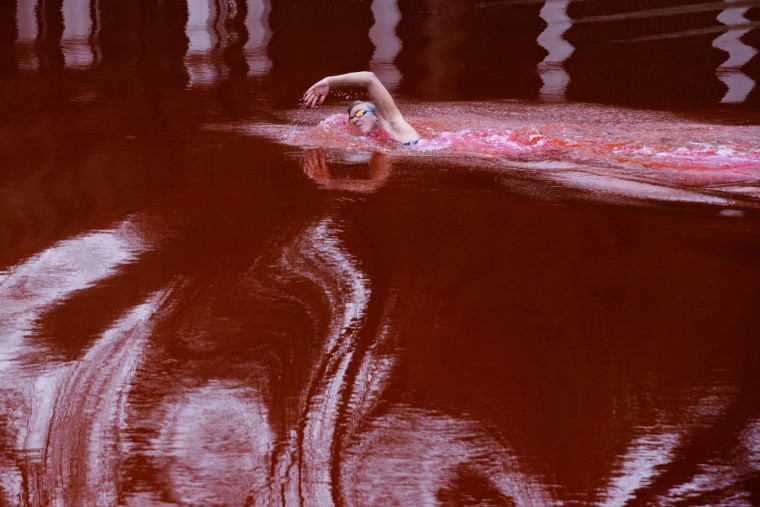 Olympic and world champion Ruta Meilutyte swims across a pond colored red to signify blood, in front of the Russian embassy in Vilnius, Lithuania on Wednesday.