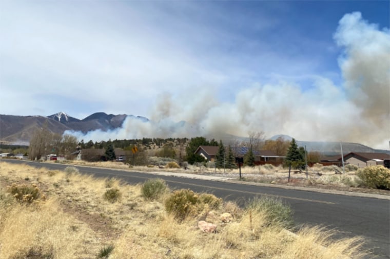 Smoke rises from the Tunnel Fire in the Timberline neighborhood of Arizona.