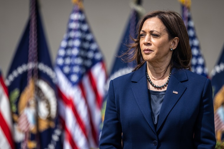 Vice President Kamala Harris in the Rose Garden at the White House on April 11th, 2022.