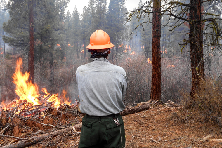 After thinning the Dollingers' trees, a forestry crew burned slash piles across their property in 2014.