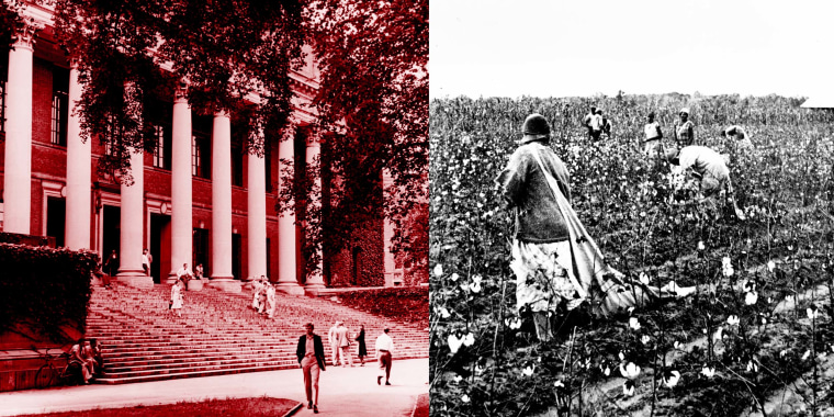 Photo Illustration: An archival photo of the Harvard campus from 1960 and a photo of enslaved people picking cotton circa 1900