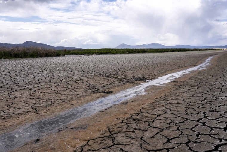 A small stream runs through the dried, cracked earth of a former wetland near Tulelake, Calif., on June 9, 2021.