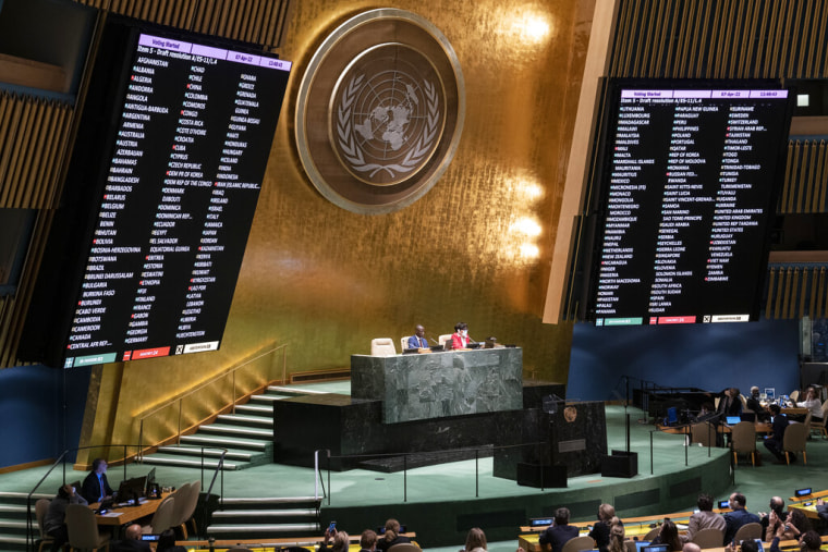 Votación de la Asamblea General el 7 de abril en la sede de la ONU.