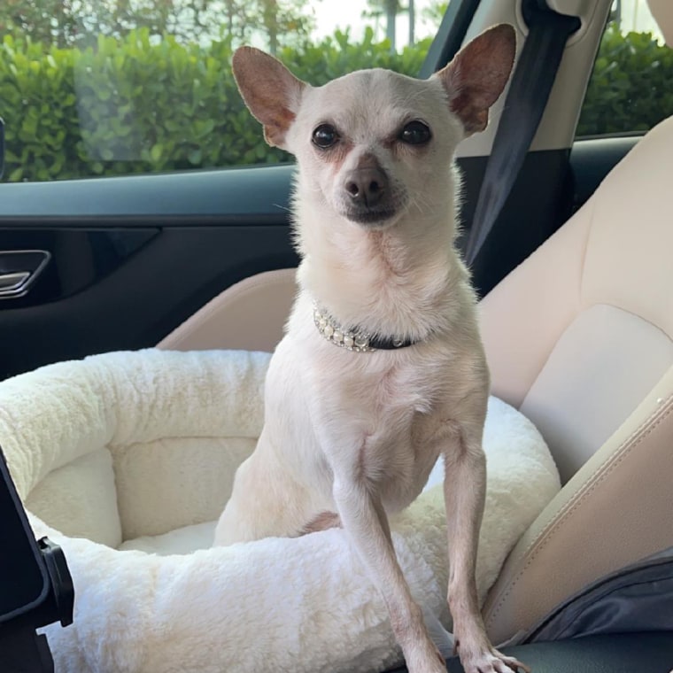 TobyKeith, 21, loves car rides.