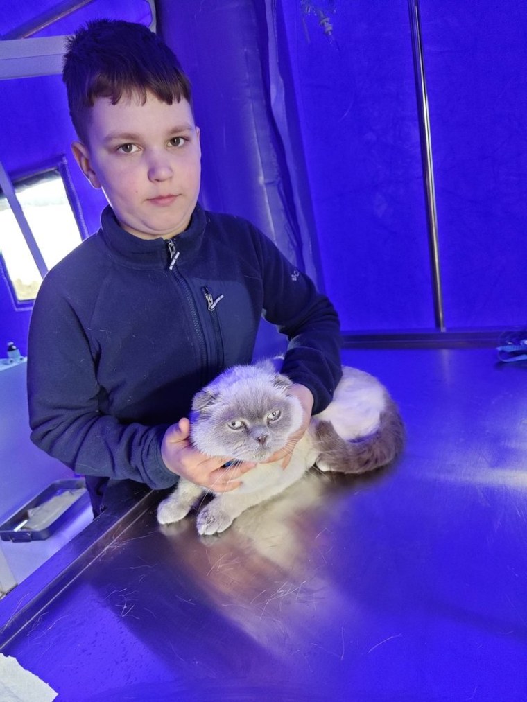 A boy and his cat visit the tent run by the Blue Vet Group.