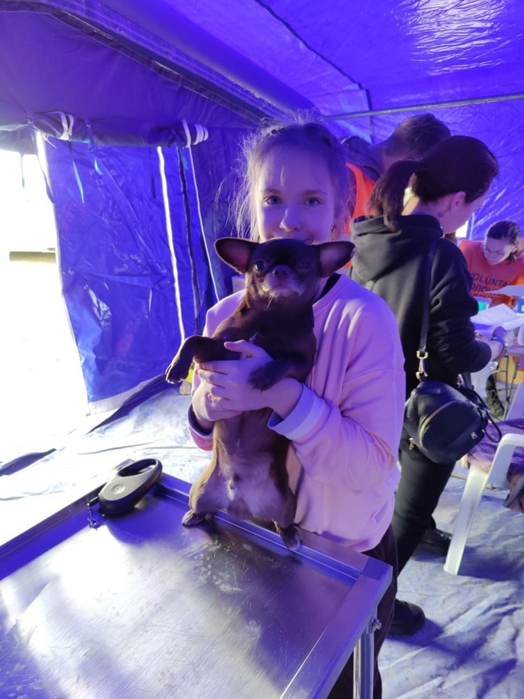 A Ukrainian girl brings her dog to the pop-up veterinary clinic at the Romanian border after fleeing her country.