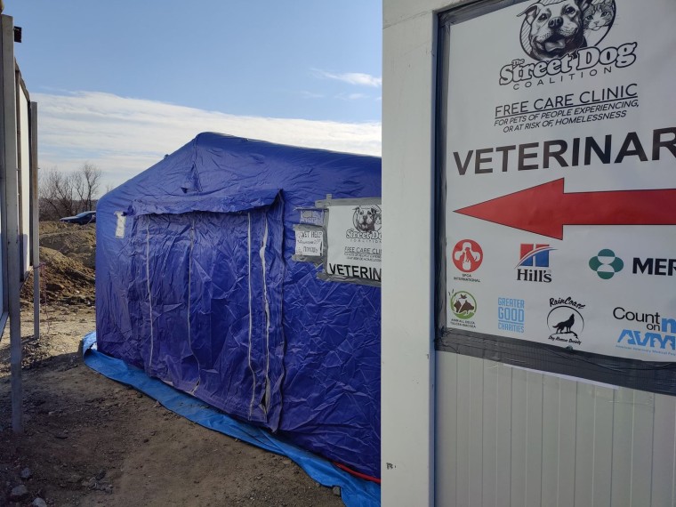 Dr. Jon Geller, founder of The Street Dog Coalition, a nonprofit headquartered in Fort Collins, Colorado, helped establish a pop-up veterinary clinic in Isaccea, Romania, for pets of Ukrainian refugees. The group will continue to run the clinic through April.