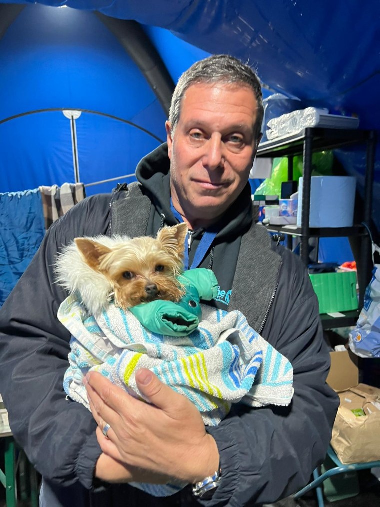 Dr. Gary Weitzman cradles a dog evacuated from Ukraine at a border crossing in Poland.