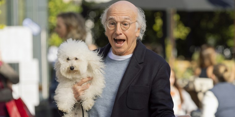 Larry David will return for another season of "Curb."