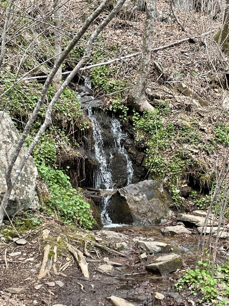 Nick Gough has been surprised how unrelenting the terrain has been since he started the Appalachian Trail in Georgia. Still, he thinks he'll finish the entire hike in about 6 months.