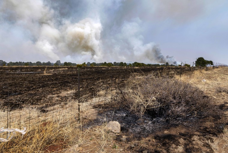 The Calf Canyon/Hermit Peak Fire has left burned fields and forest along NM 283 near Las Vegas, N.M., on May 5, 2022. 