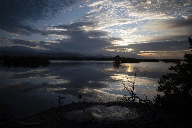 Image: Clouds are reflected in the water at the Jobos Bay National Estuarine Research Reserve in Salinas, Puerto Rico, on May 3, 2022.