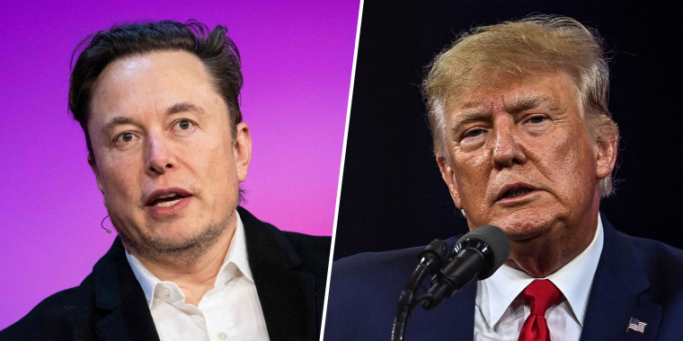 Elon Musk and Donald Trump.