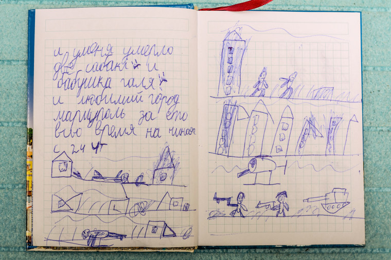 The diary of Sosnovsky's eight-year-old nephew.