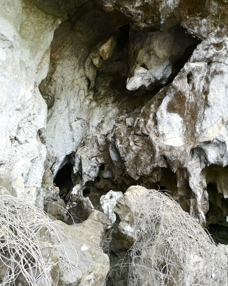 The discovery was made inside cave Tam Ngu Hao 2, also known as Cobra Cave, in northeastern Laos.