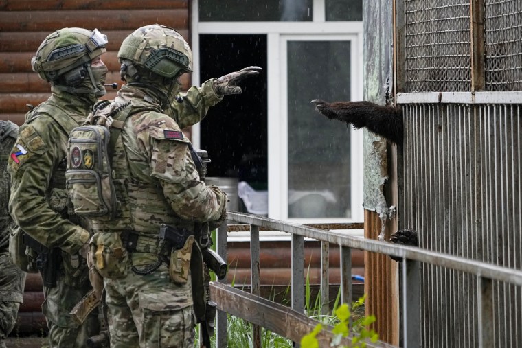 Russian soldiers play with a bear at the zoo in Mariupol, in territory under the control of Russian-backed separatists.