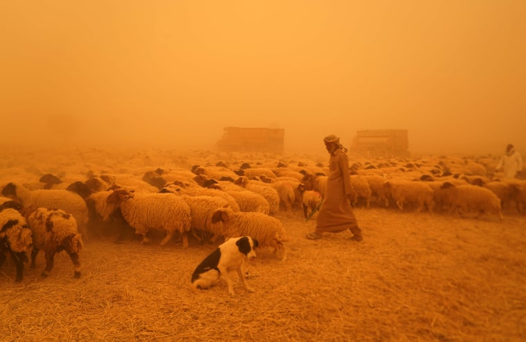 Image: Sandstorm