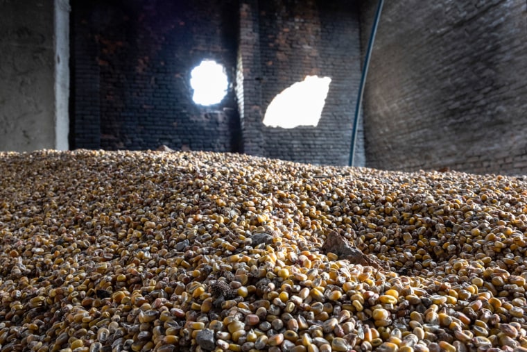 Corn lies scattered in a grain warehouse damaged by Russian tanks on May 14, 2022, in Cherkska Lozova, Ukraine.