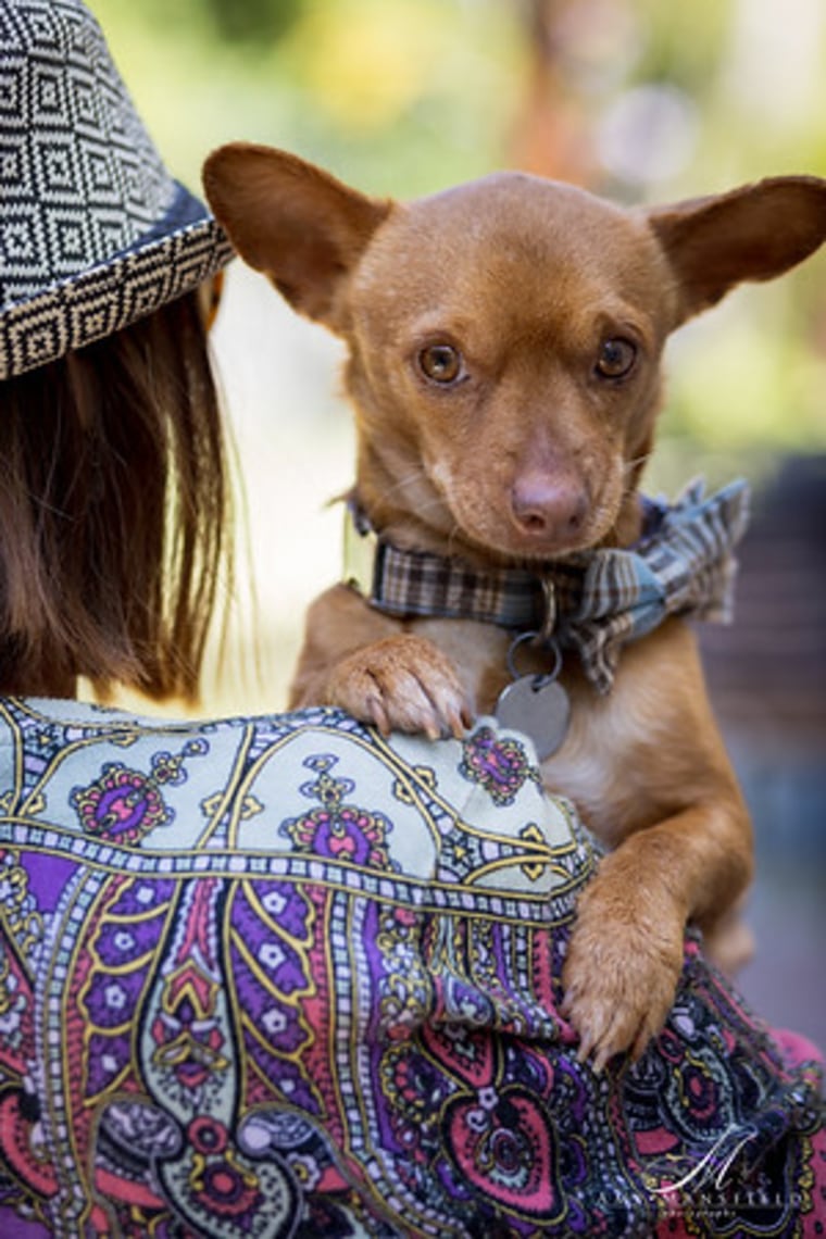 Cuyahoga County Animal Shelter naming dogs for Tribe players in a play for  home 