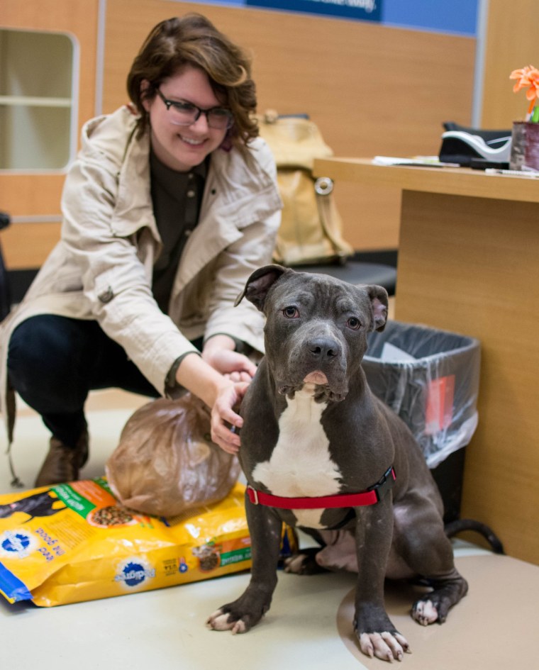 After gaining the confidence to leave the plum box in which he was found, Plum joined a loving home.