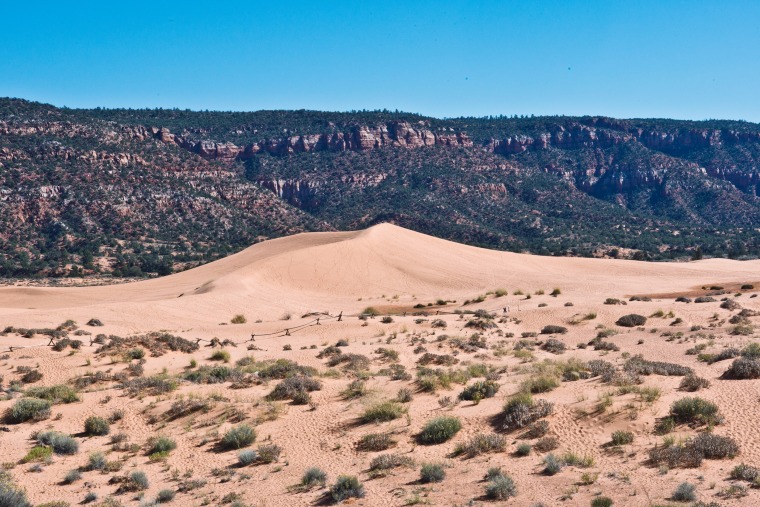 Coral Pink Sand Dunes State Park, where officials said a 13-year-old boy died on Saturday after getting trapped in a sand dune.