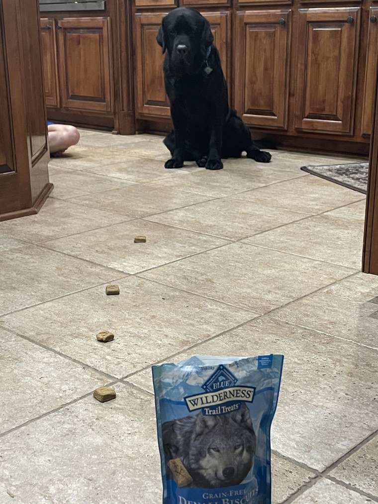 Max prepares to enjoy treats donated by his fans in the community. Search dogs also played a key role in Sherry Noppe’s rescue. “We all felt that without those other dogs picking up her tracks, we would not have found her. We had no place to start originally,” Jessica Noppe told TODAY.