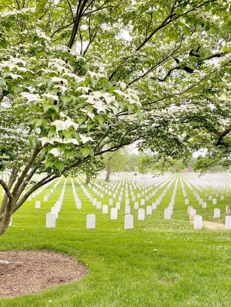 A view of Arlington National Cemetery, where U.S. Army Major General Harold Greene is buried.