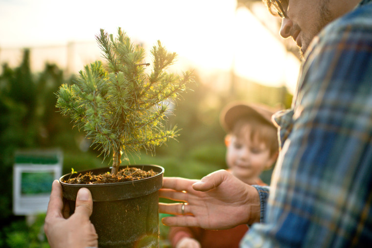 Family buying trees at a garden store in springtime