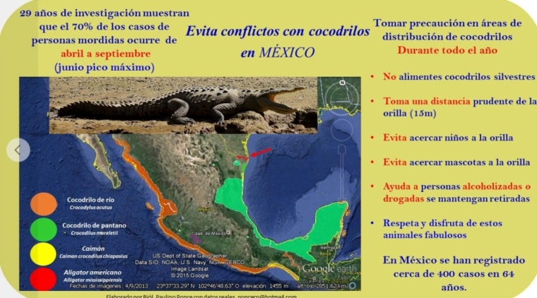 Recomendaciones del Instituto Mexicano de Fauna, Flora y Sustentabilidad para evitar incidentes con cocodrilos.