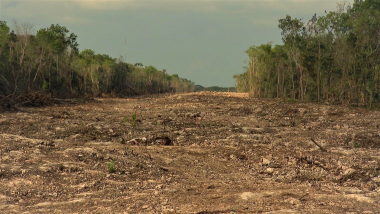 La zona donde se construye el tramo 5 sur del Tren Maya, que conectará a las ciudades de Cancún y Tulum.