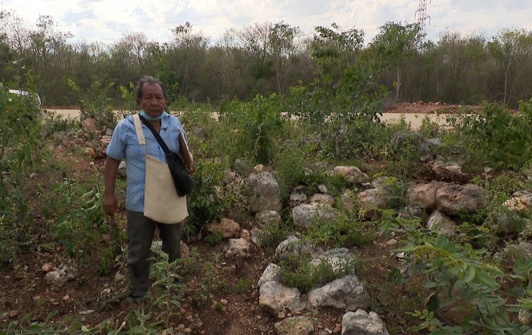 Ignacio Pat Tzuc, líder indígena maya, en los vestigios arqueológicos encontrados durante la construcción del tramo 3 del Tren Maya.