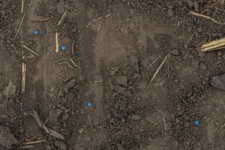 Corn coated with fugicide in a field being planted by AgroRegion last month near Boryspil, Ukraine.