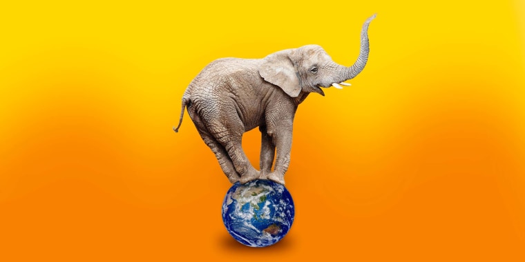 Photo Illustration: An elephant balances on top of a globe