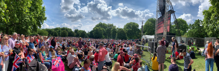 Crowds watch Trooping the Color on a big screen in a park adjacent to the Mall in London.