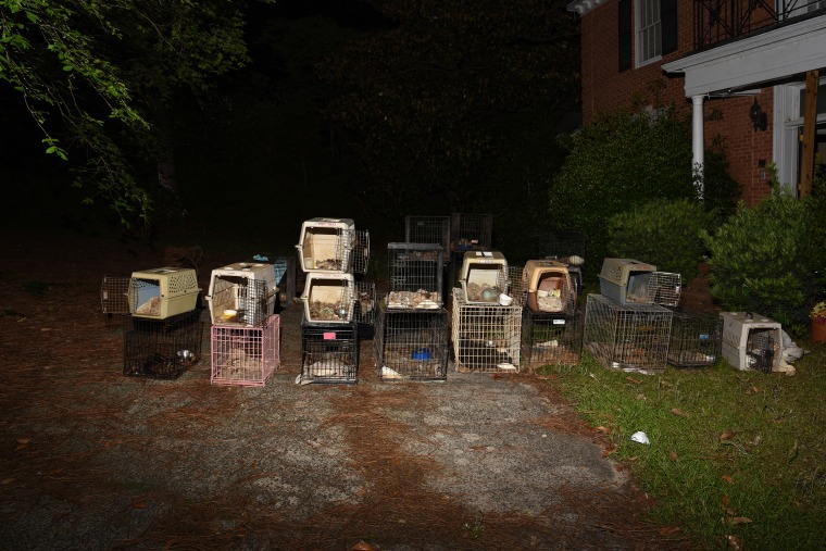 A total of 30 decomposing animals — 28 dogs and two cats — were found in cages and crates, the sheriff’s office said. 